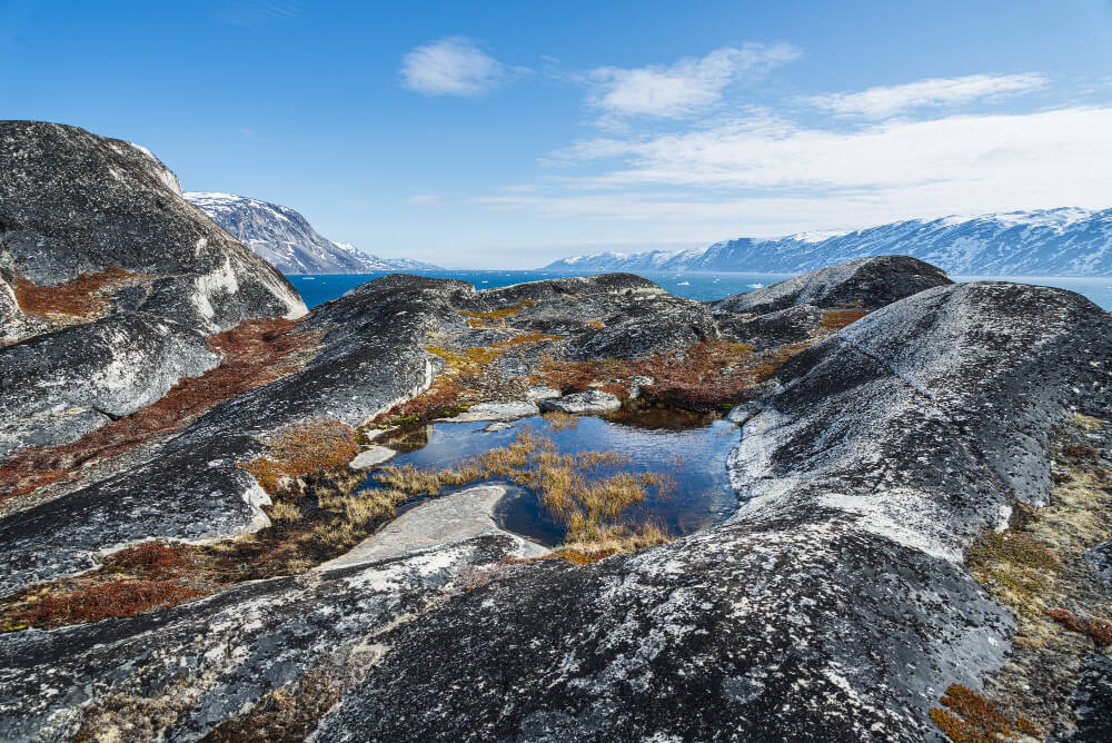 Discovering New Zealand Small Group Tours for Seniors